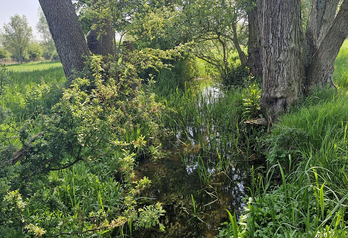 Water quality monitoring photo