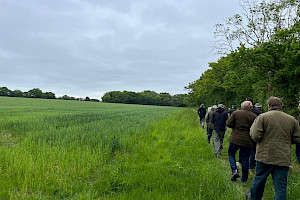 people walking in a field