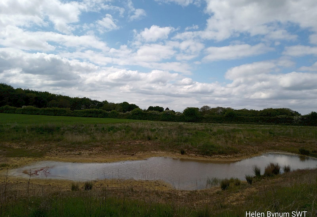 Ghost ponds & pond restorations photo